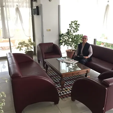 酒店 柠檬酒店 安塔利亚