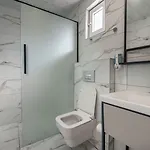 ليمون 2*